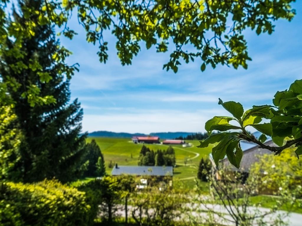 Maly'S Ferienwohnung Зульцберг Экстерьер фото